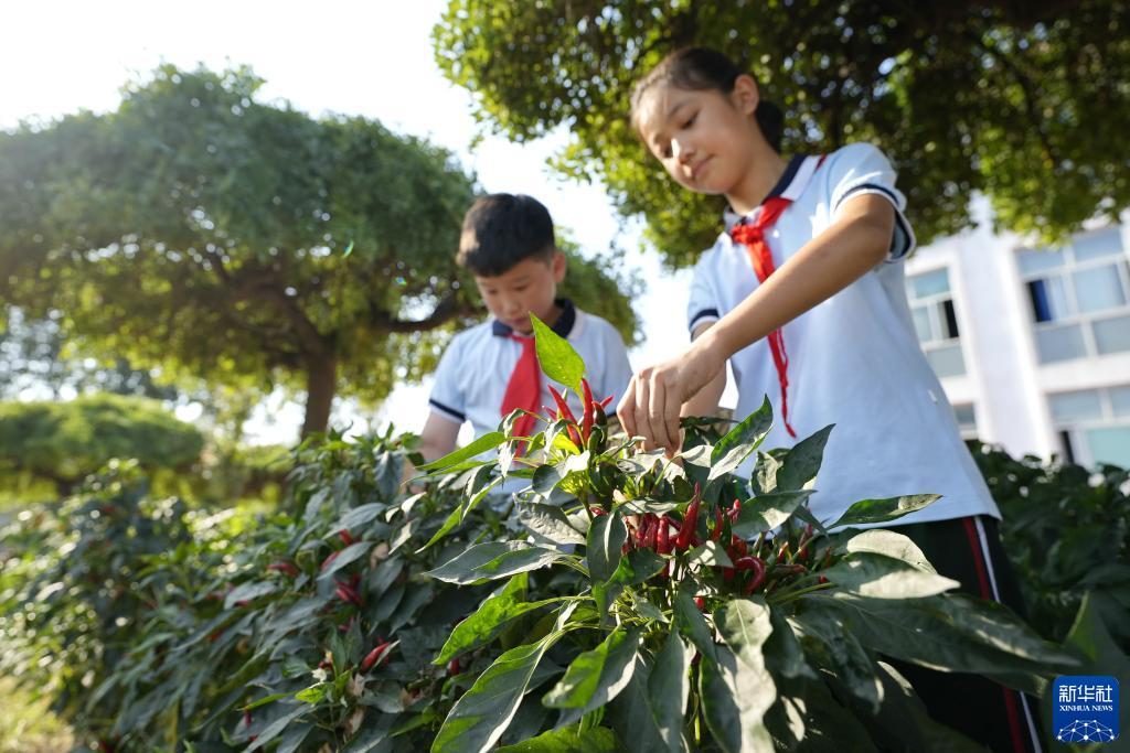 银河国际炸金花